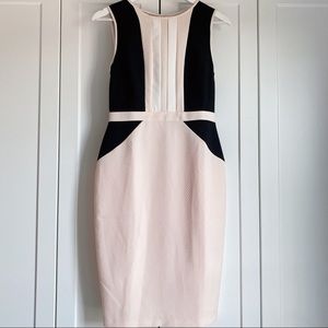 NWT Dorothy Perkins pencil dress